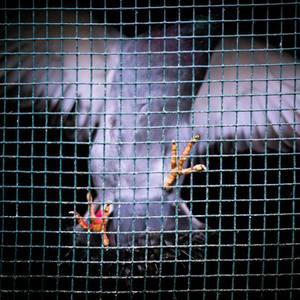 一级婬片试看15分钟口咬
