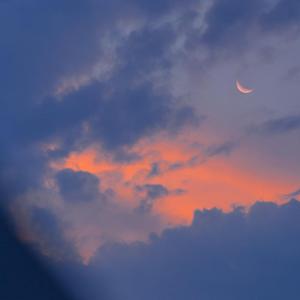 一级婬片试看15分钟口咬
